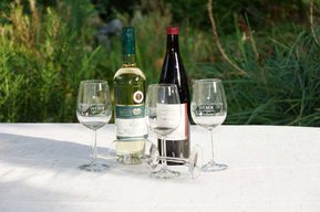 Weinflaschen mit Gläsern auf einem Tisch